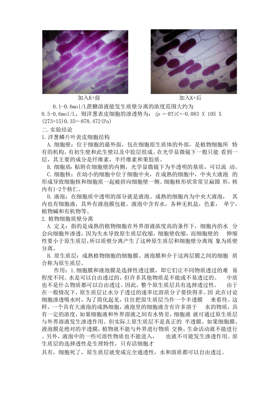 实验七 洋葱鳞片叶表皮细胞玻片的制作和细胞质壁分离的观察.docx_第3页