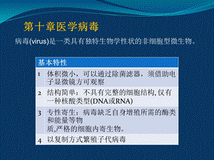 医学病毒-医学免疫学与病原生物.ppt