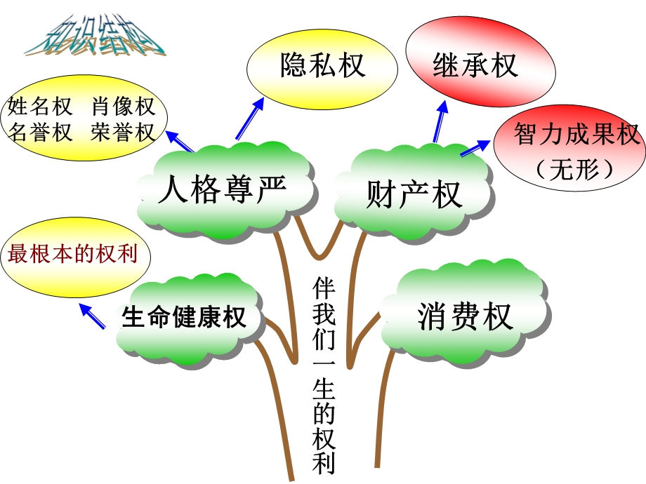 伴我们一生的权利.ppt_第3页