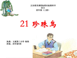 21珍珠鸟课件杨艳.ppt