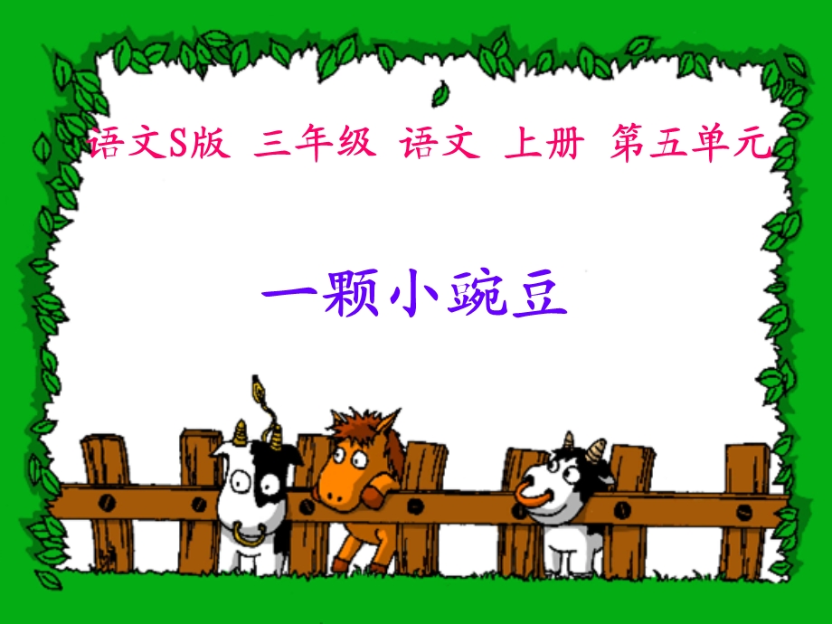 《一颗小豌豆》小学优秀.ppt_第3页