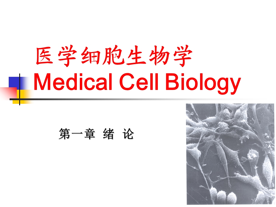 医学细胞生物学-绪论.ppt_第1页