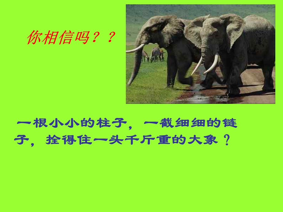 作业好习惯班会.ppt_第2页