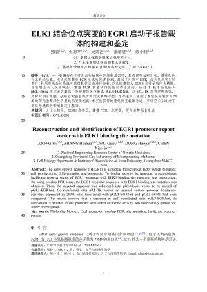 ELK1 结合位点突变的 EGR1 启动子报告载【推荐论文】 .doc