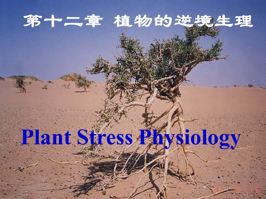 《逆境生理》课件.ppt_第1页