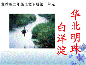 《华北明珠白洋淀》教学课件.ppt