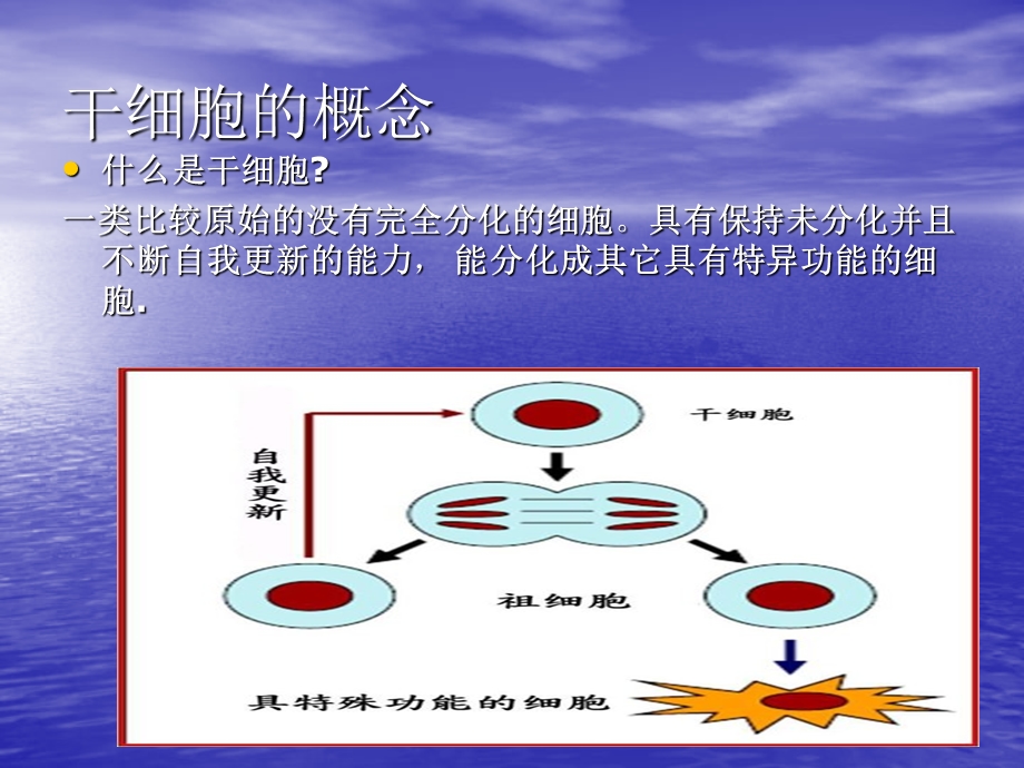 华大干细胞-健康青春的新.ppt_第2页