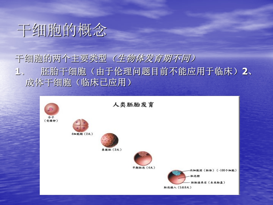 华大干细胞-健康青春的新.ppt_第3页