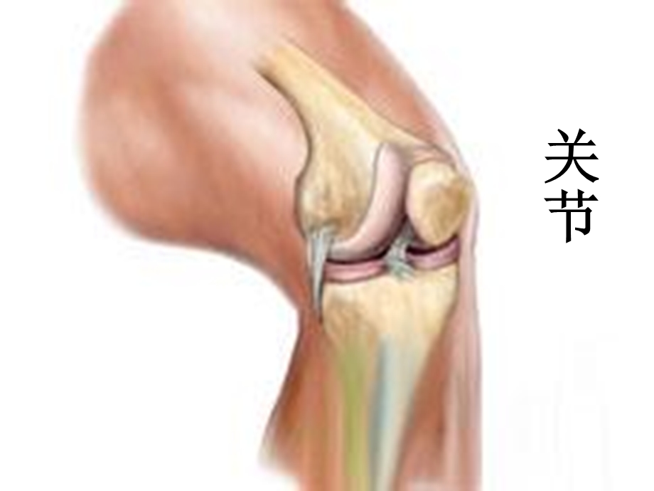 中班健康活动《动一动扭一扭》.ppt_第2页