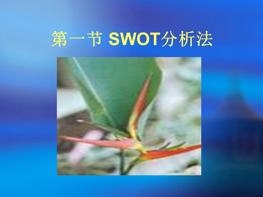 企业环境综合分析.ppt_第2页