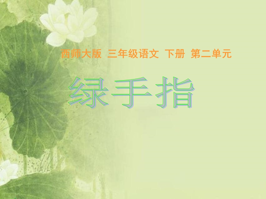 《绿手指》(西师大版小学语文三年级下册课件).ppt_第1页