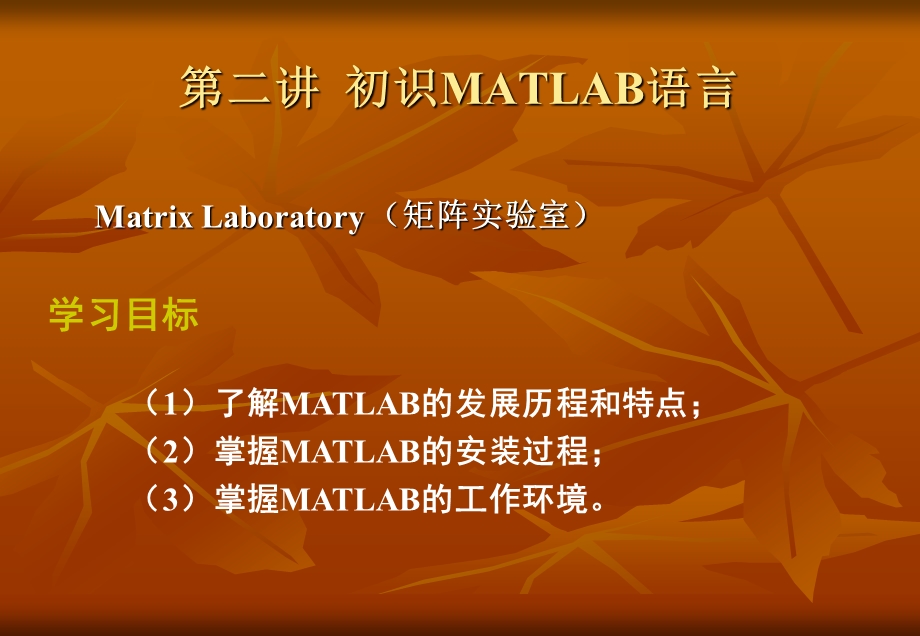 初识matlab语言.ppt_第1页