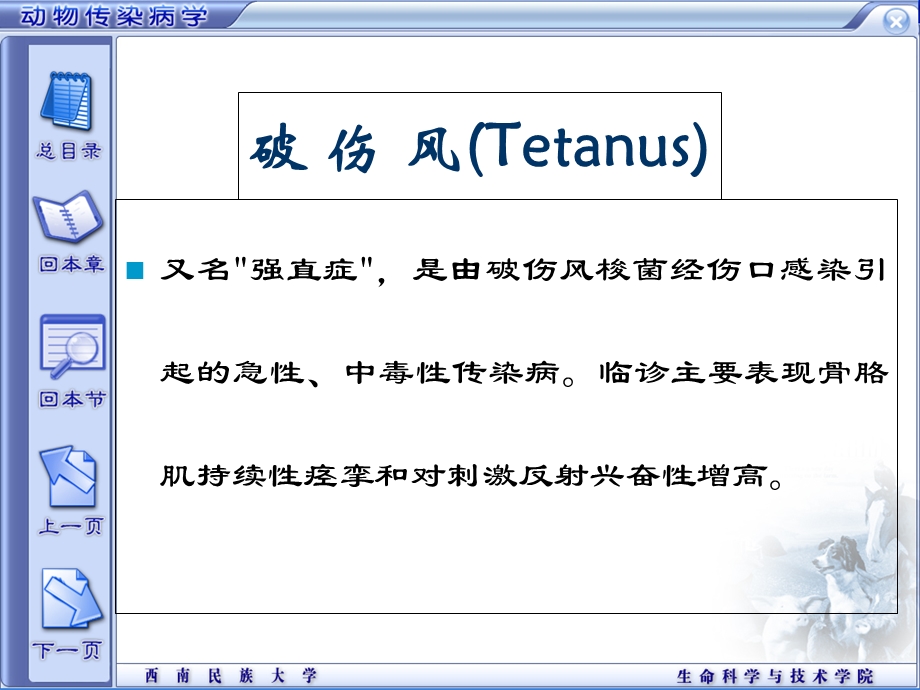 动物破伤风的病原发病机理与防治PPT.ppt_第1页