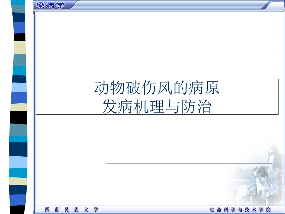 动物破伤风的病原发病机理与防治PPT.ppt_第2页