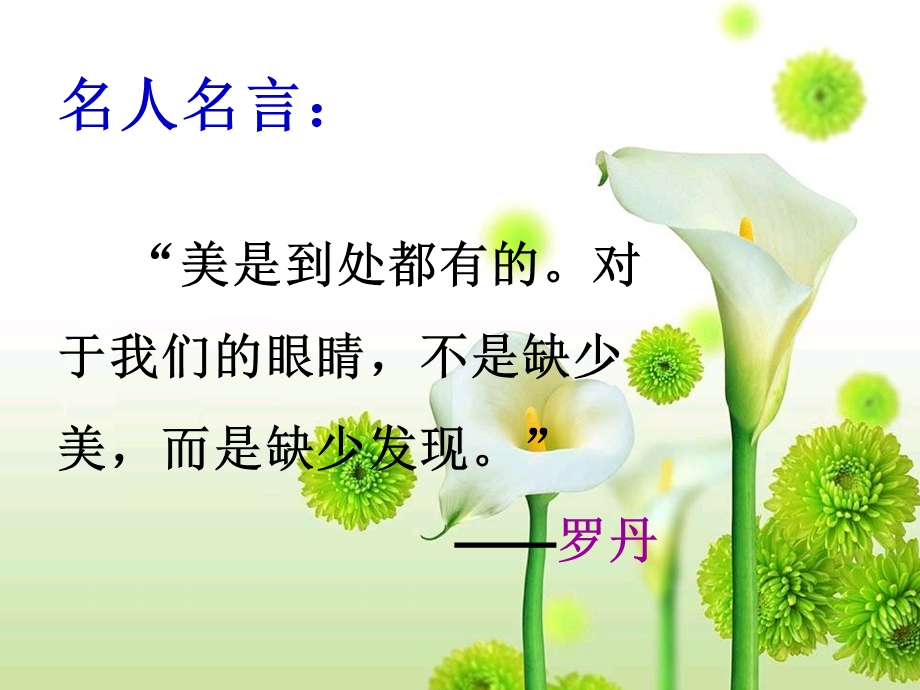 《全神贯注》ppt课件.ppt_第2页