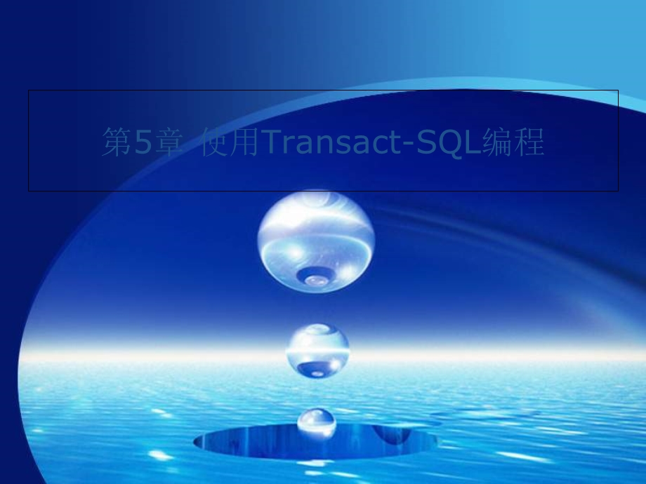 使用TransactSQL编程.ppt_第1页