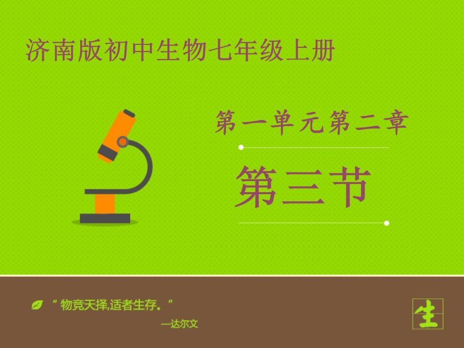 《多细胞生物体的结构层次》.ppt_第1页