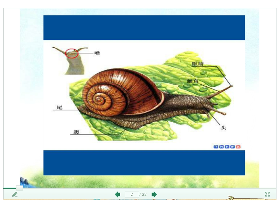 四年级科学上册我们的身体.ppt_第1页