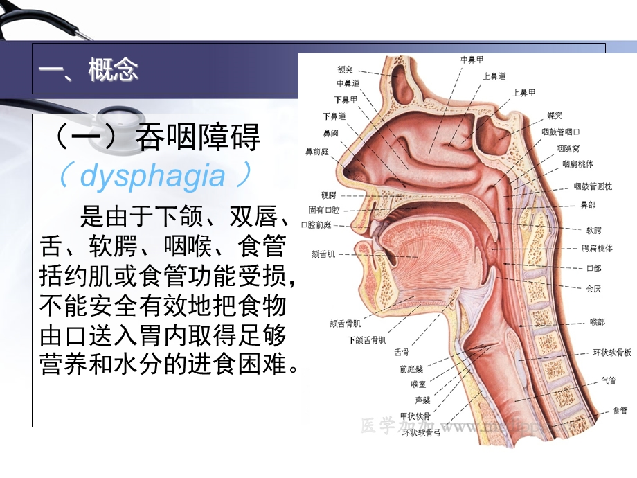 吞咽障碍饮食管理PPT课件.ppt_第3页