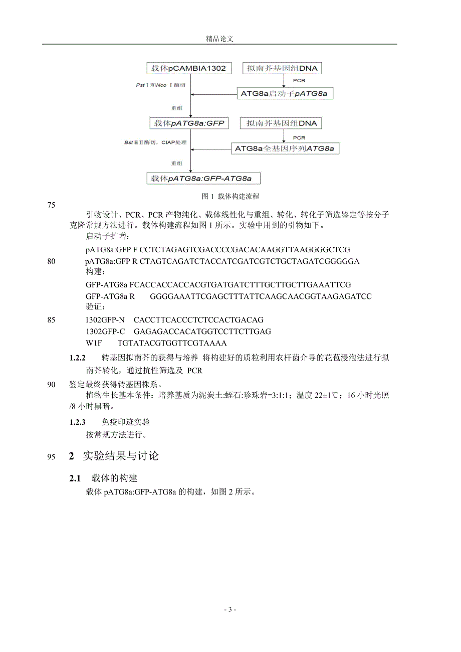 拟南芥新内源自噬检测株系的建立【推荐论文】 .doc_第3页