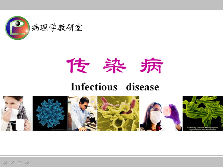 病理生理学教学资料王槐高病理 传染病.ppt_第1页