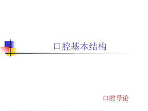 口腔基本结构.ppt