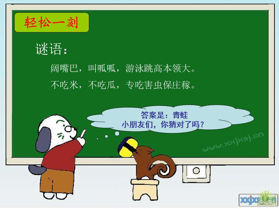 口语交际课件保护有益的小动物.ppt_第2页