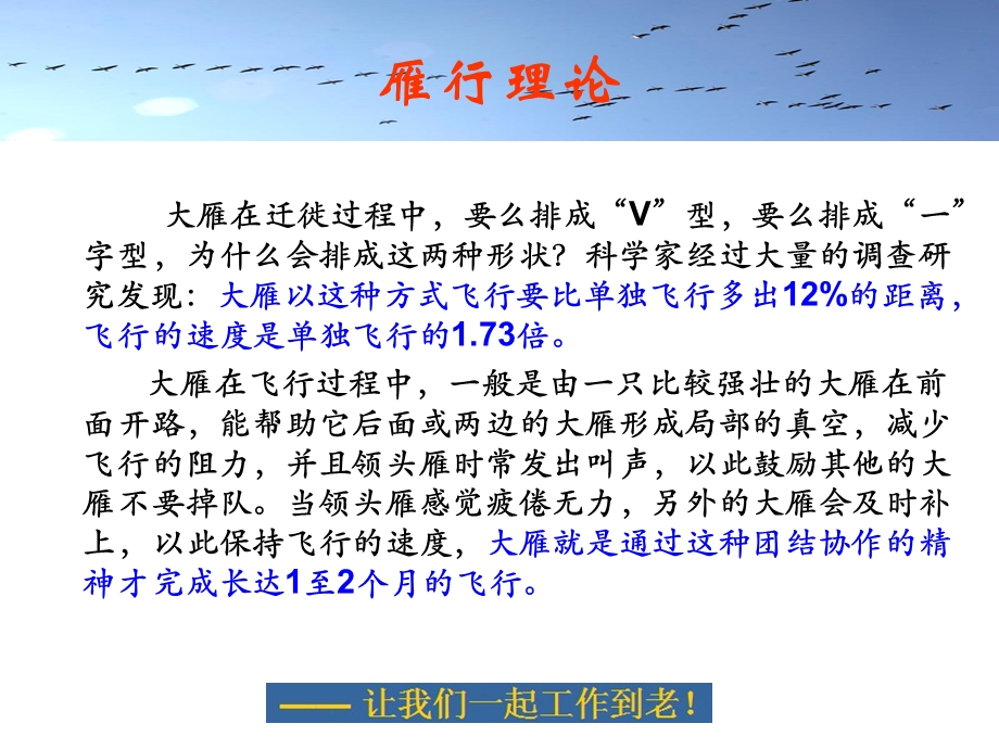 团队精神雁行理论感悟.ppt_第2页