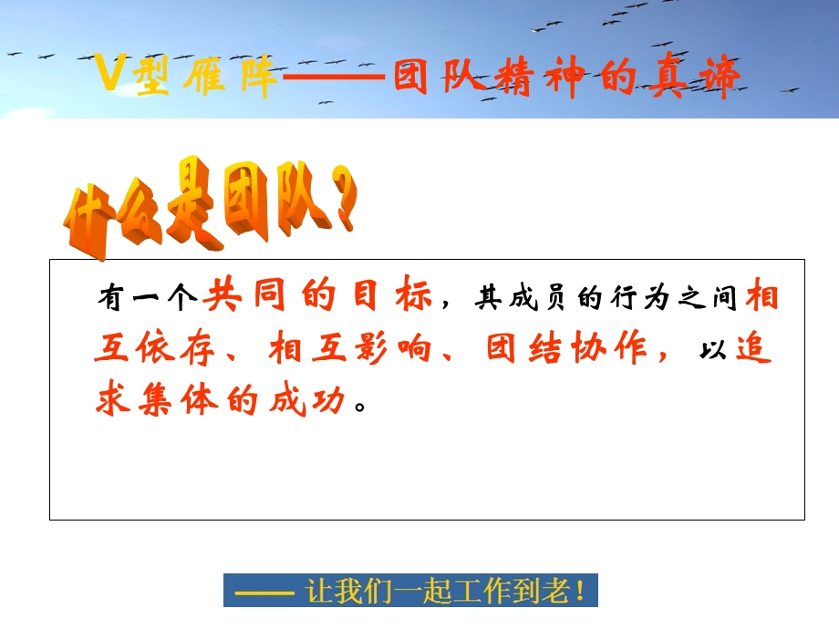 团队精神雁行理论感悟.ppt_第3页