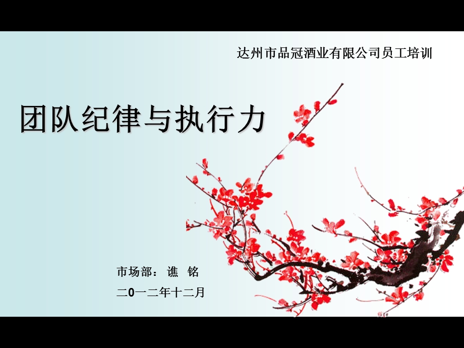 团队纪律与执行力.ppt_第1页