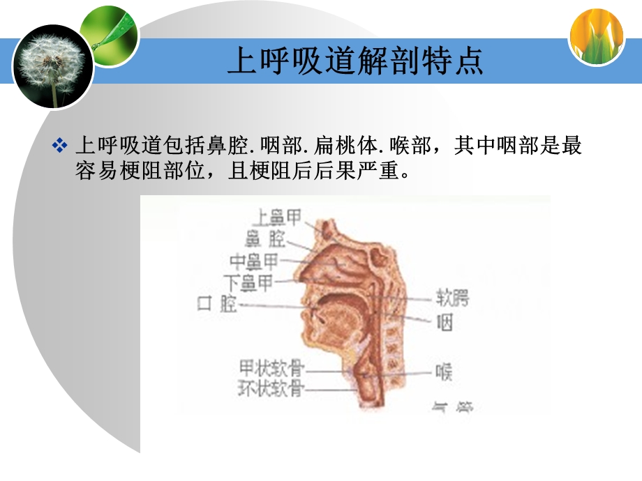 口咽通气道的临床应用.ppt_第3页