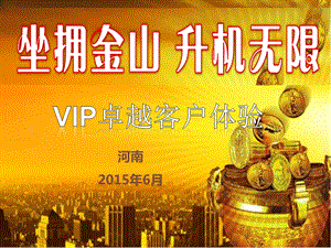 盛世赢家vip卓越客户体验活动4保险产说会.ppt