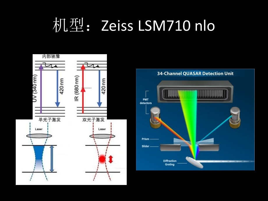 双光子和光谱在激光共聚焦显微镜上的应用经验.ppt_第2页