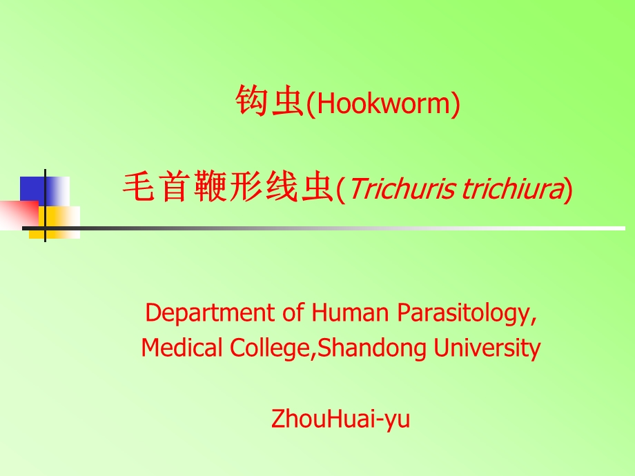 钩虫Hookworm毛首鞭形线虫Trichuristrichiura.PPT_第1页