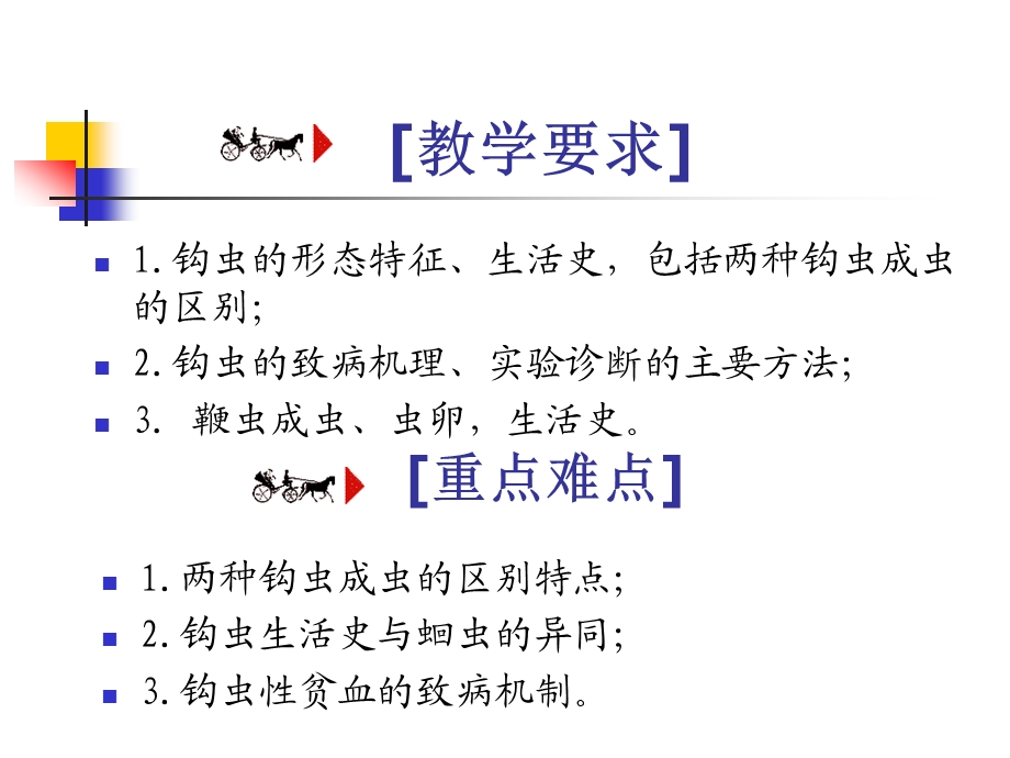 钩虫Hookworm毛首鞭形线虫Trichuristrichiura.PPT_第2页