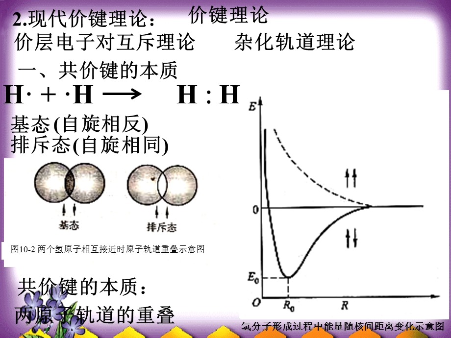 11第十章共价键与分子结构.ppt_第3页