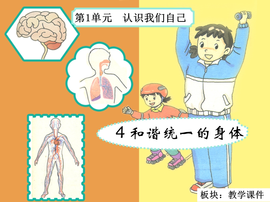 和谐统一的身体教学.ppt_第2页