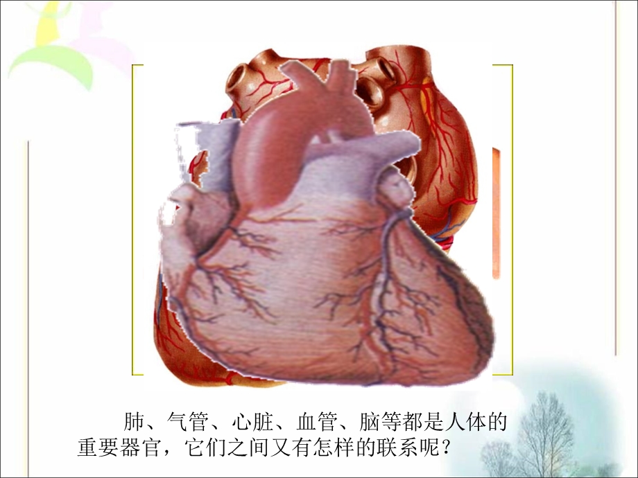 和谐统一的身体教学.ppt_第3页