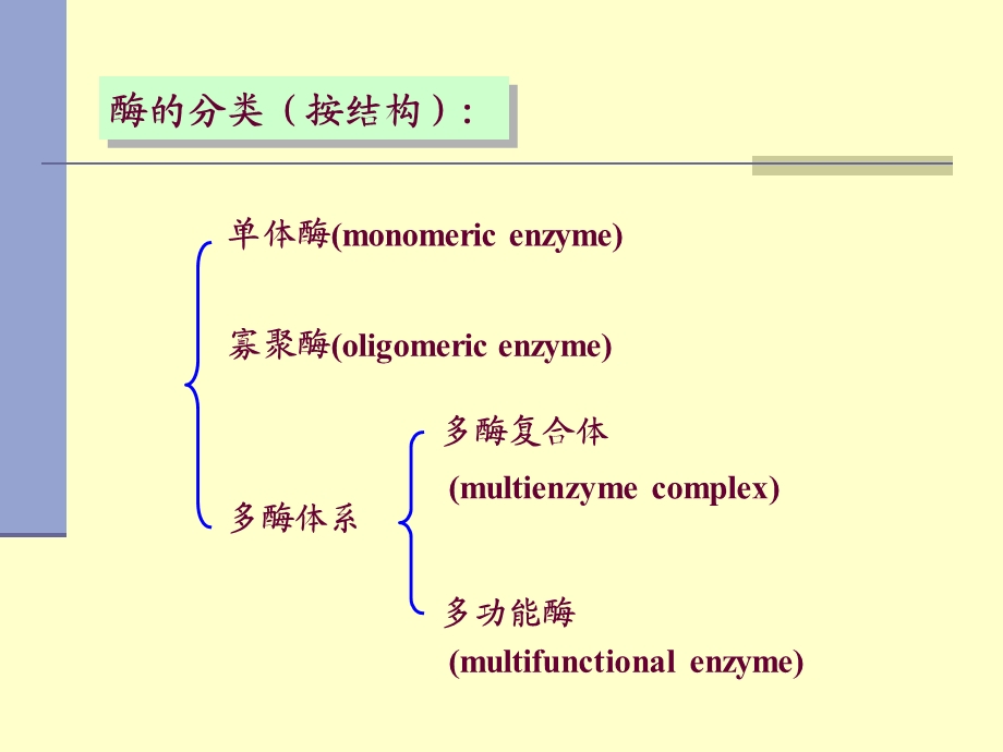 第三章酶含维生素与酶的调节.ppt_第3页