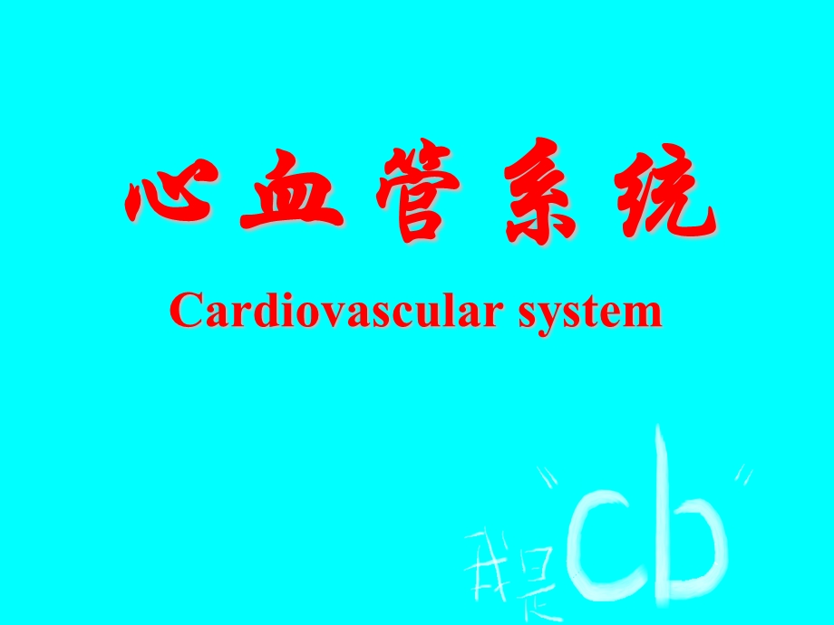 10心血管系统心.ppt_第1页