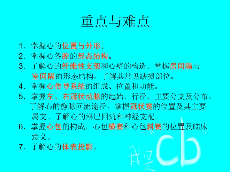 10心血管系统心.ppt_第2页