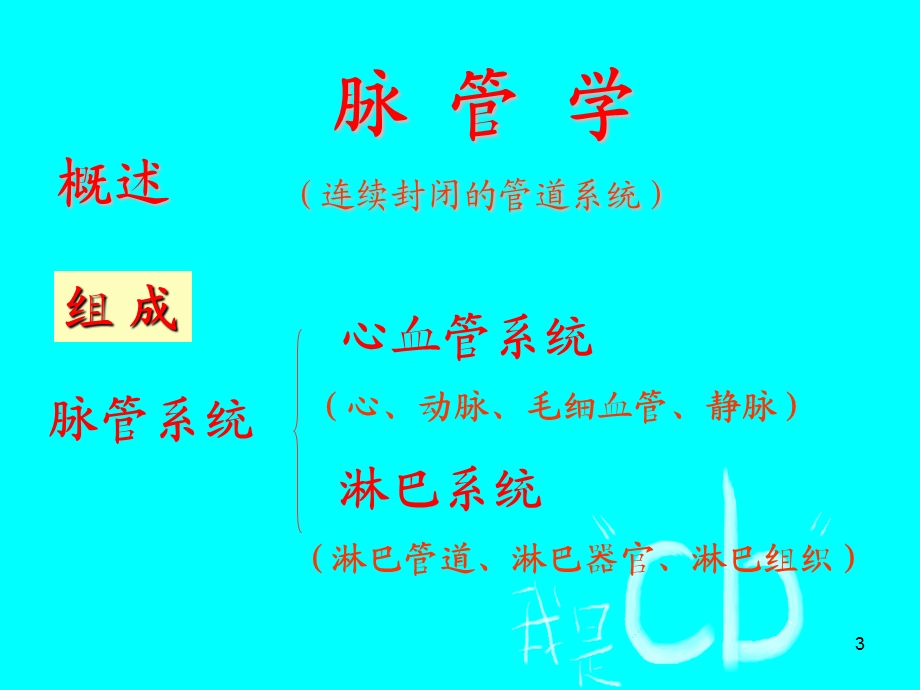 10心血管系统心.ppt_第3页