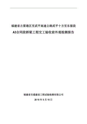 桥梁工程交工验收前外观检测报告.doc