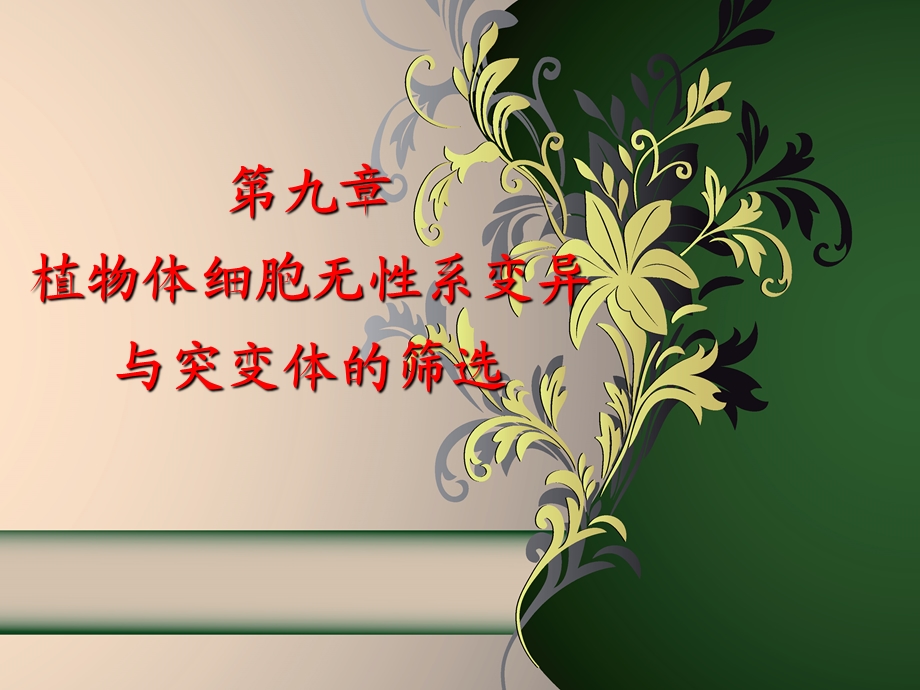 11细工第10章.ppt_第1页