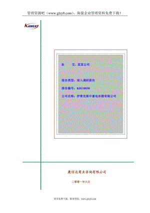 伊萊克斯调查报告.doc