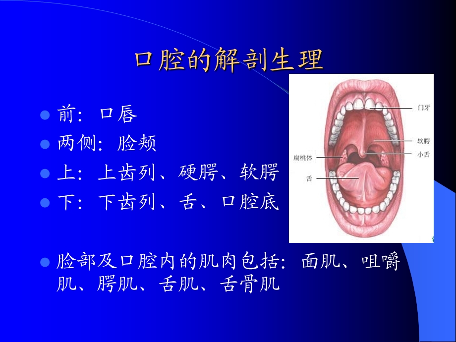 吞咽困难的评定与康复.ppt_第3页