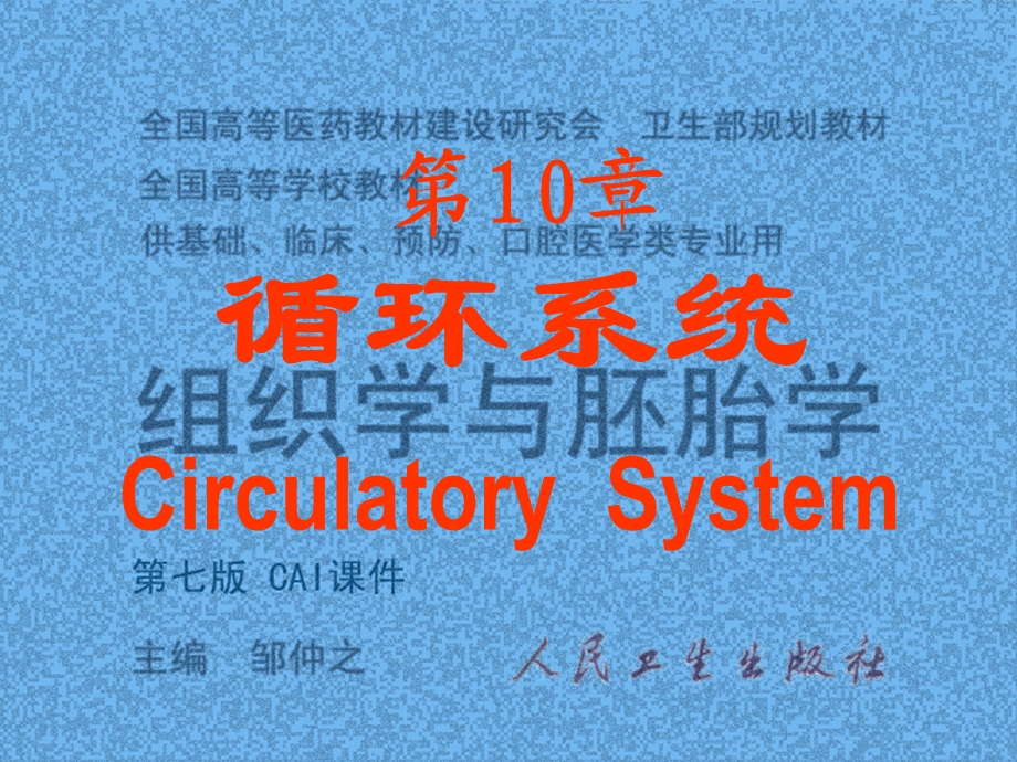 10循环系统.ppt_第1页