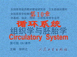 10循环系统.ppt