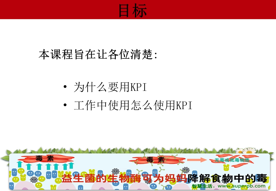 可口可乐的关键业务指标.ppt_第2页