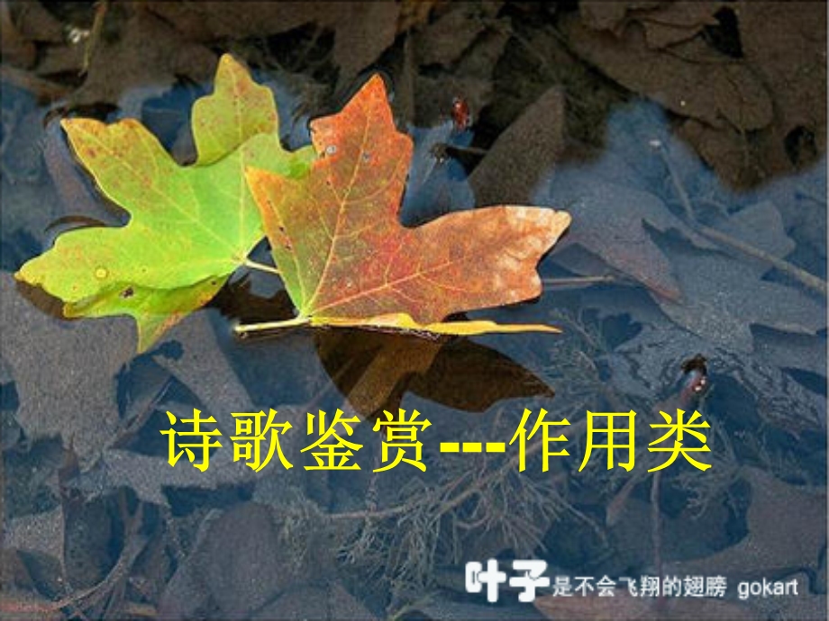 古典诗歌结构篇.ppt_第1页